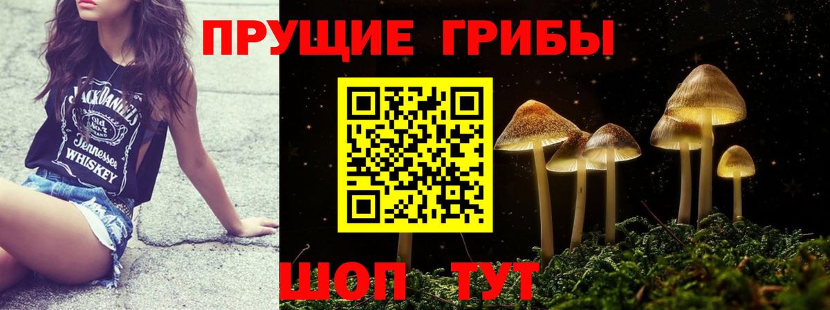 Галлюциногенные грибы мицелий Новокубанск