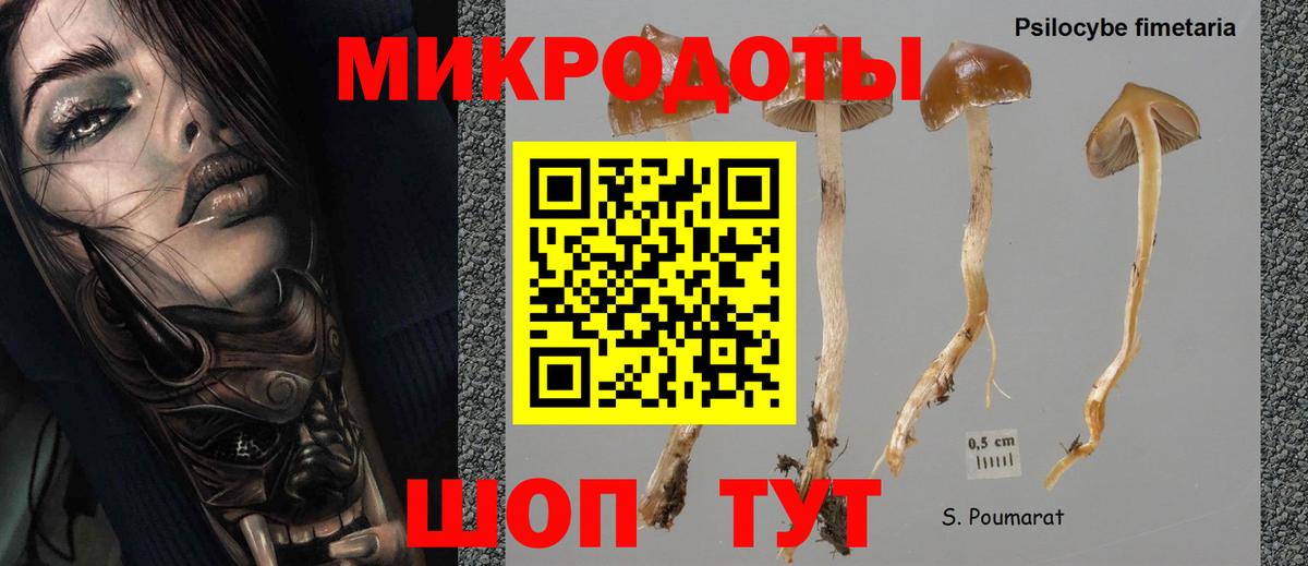 Новокубанск  Псилоцибиновые грибы Psilocybe  Псилоцибиновые грибы ЛСД  Вход с VPN 